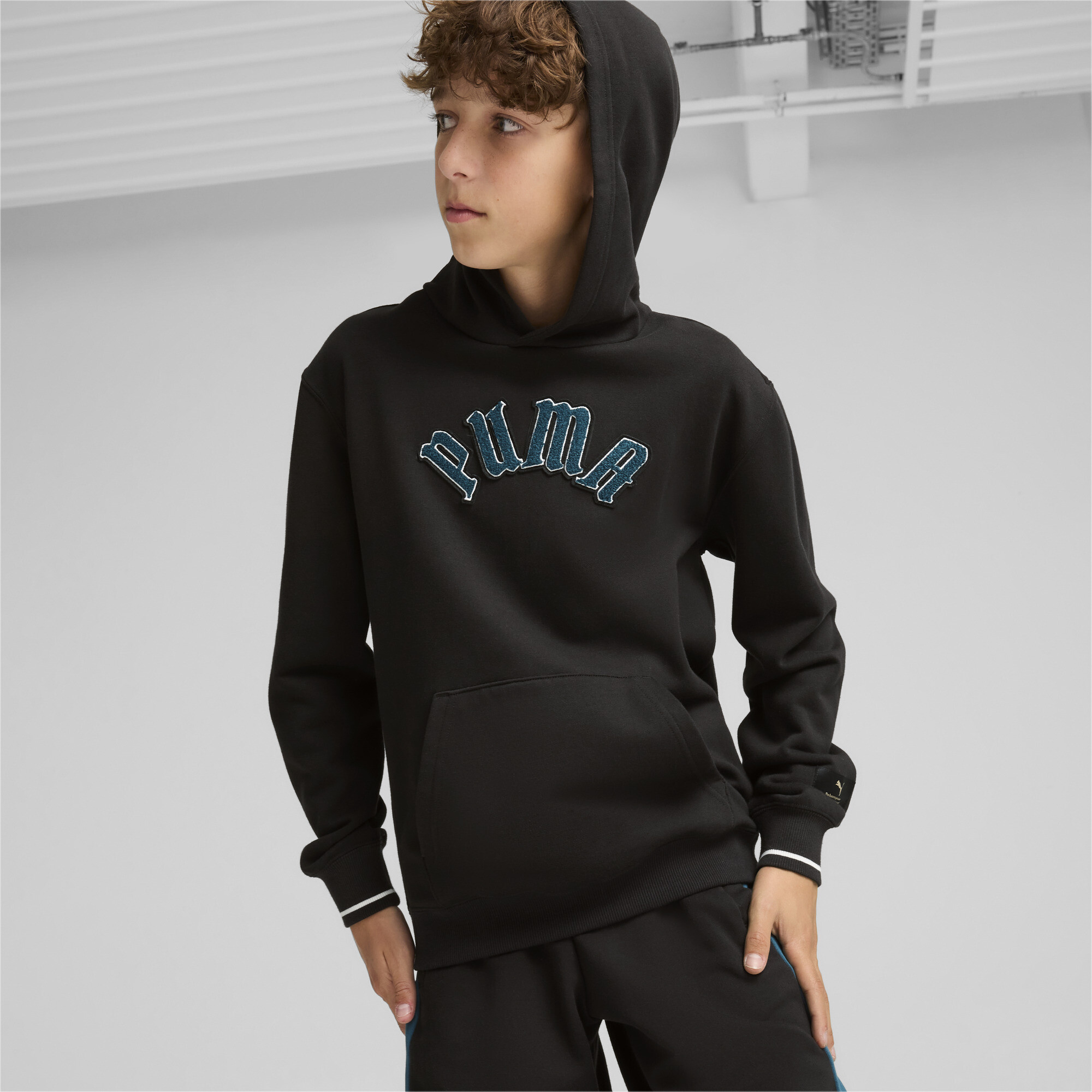 Толстовка Puma Classics Play Loud Hoodie Terry B (PU62645501) в Молдове по  цене 639 MDL
